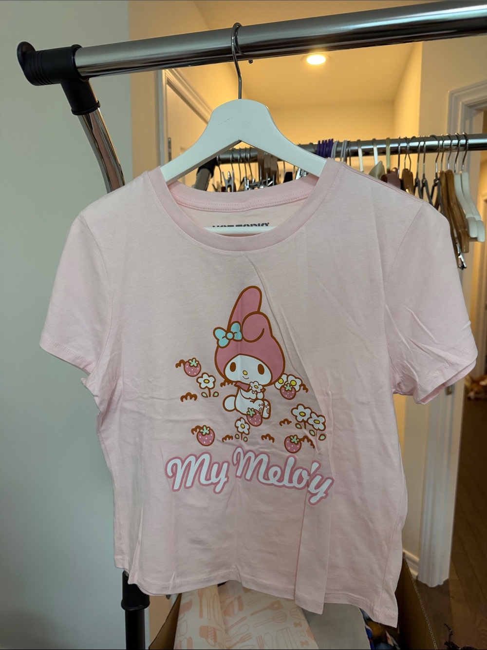Sanrio My Melody Light Pink Graphic Tee